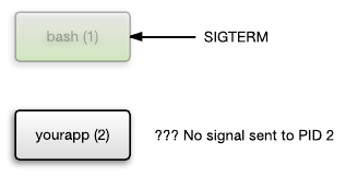 bash_signal.png