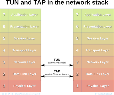 400px-Tun-tap-osilayers-diagram.png