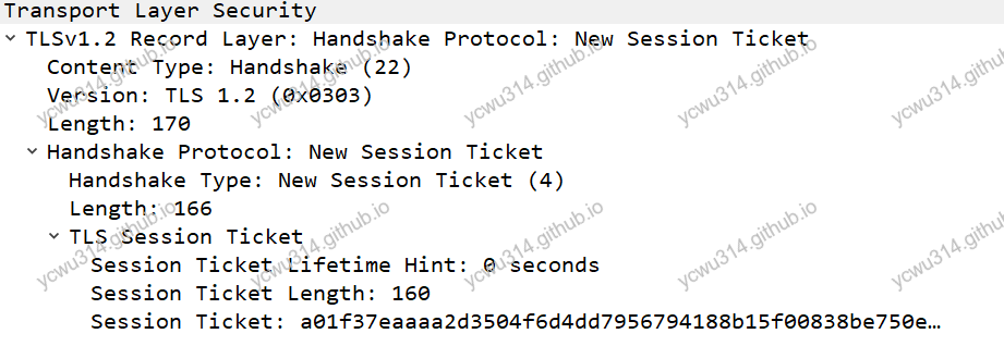 new_session_ticket.webp